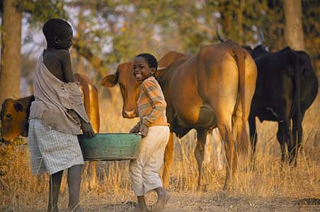 Well Done: Improved water supplies and healthy animals mean a lot to Zambians.